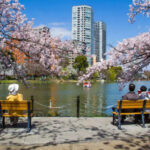 japan-exploration-tokyo-park