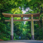 japan-exploration-tokyo-park-2