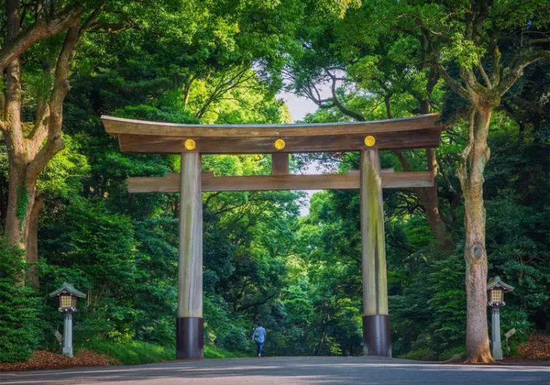 japan-exploration-tokyo-park-2
