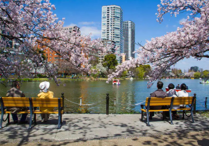 japan-exploration-tokyo-park