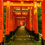 japan-kyoto-nara-exploration-path