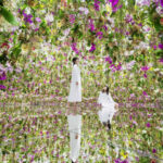 japan-tokyo-exploration-flowers