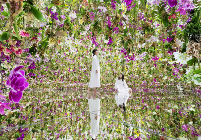 japan-tokyo-exploration-flowers