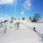 Japan-ski-resort