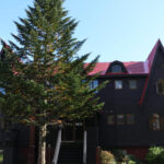 niiseko-hirafu-outside