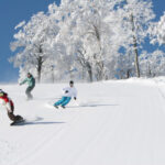 japan snow trip