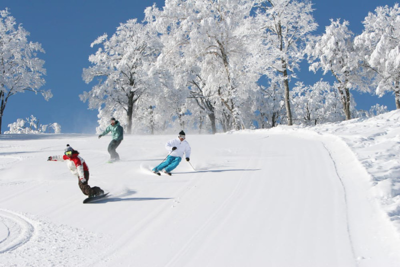 japan snow trip