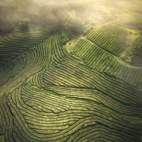 azores-trip-3