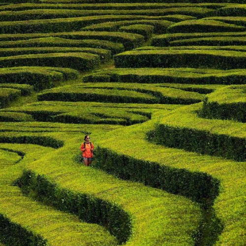 azores-trip-9