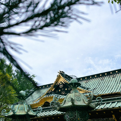 japan-trip-10