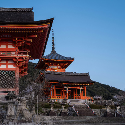 japan-trip-12