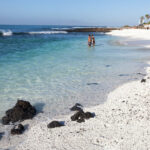 canary-islands-optional-activities-3-blueroad-team